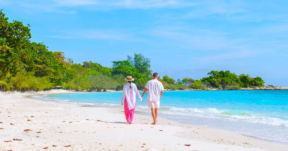 Twilight Sparkle Fluttershy және Rainbow Dash секспен секс ойыны